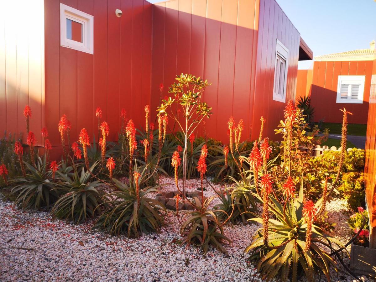 Family Surf Home - Bungalows Mafra Exterior foto